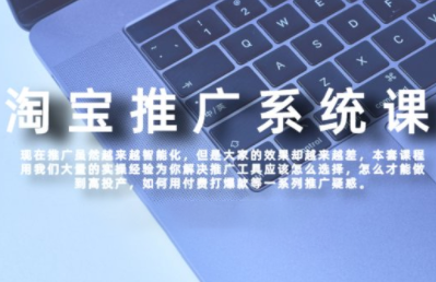 大海·淘宝高阶付费推广课