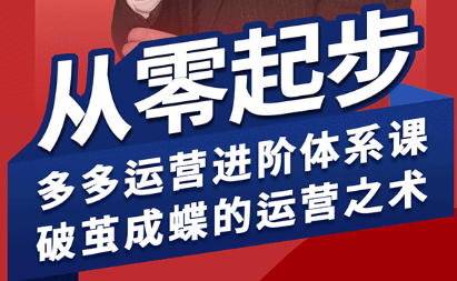 海神·拼多多运营进阶系统课（更新2026）