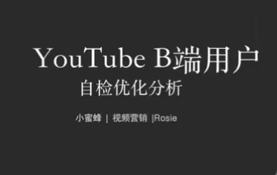 独立站+YouTube视频营销：流量与转化双提升实战课