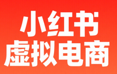 野生运营社区·松月小红书虚拟电商14天变现训练营