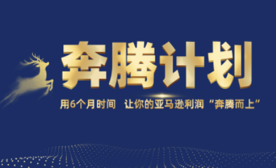 MoonSees奔腾计划（亚马逊卖家运营与利润提升服务）