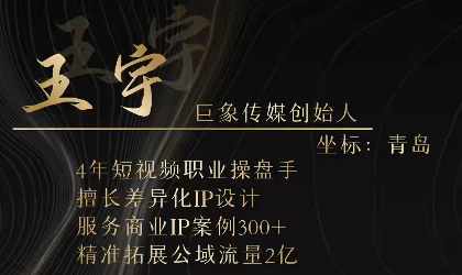 王宇巨象传媒商业IP线下课（视频+笔记）