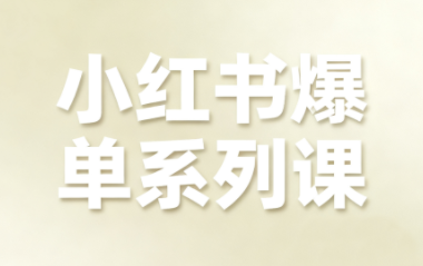 尼采老师·小红书爆单系列课（更新）