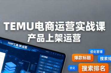 伍跃·跨境拼多多TEMU实操与选品