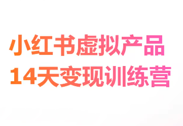 野生运营社群·小红书虚拟电商14天变现训练营3.0