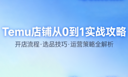 海外拼多多temu钱攻略从0到1打造店铺
