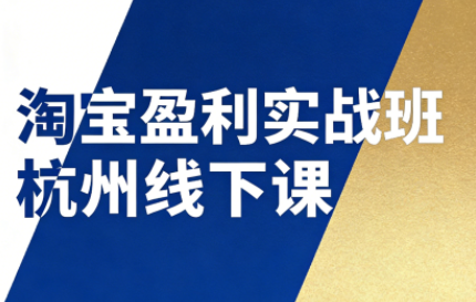 爱上黄昏·淘宝盈利实战班杭州线下课12月26-28日（音频+字幕）
