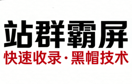 SEO野路子实战全集：快速收录、站群霸屏、黑帽技术（更新）