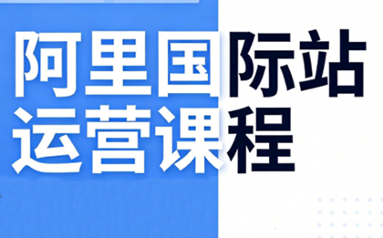 张国儒·阿里国际站运营课程（更新2026）