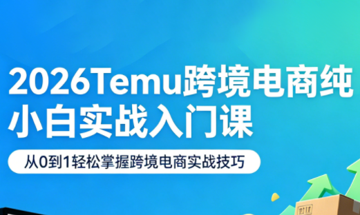 2026Temu跨境电商纯小白实战入门课
