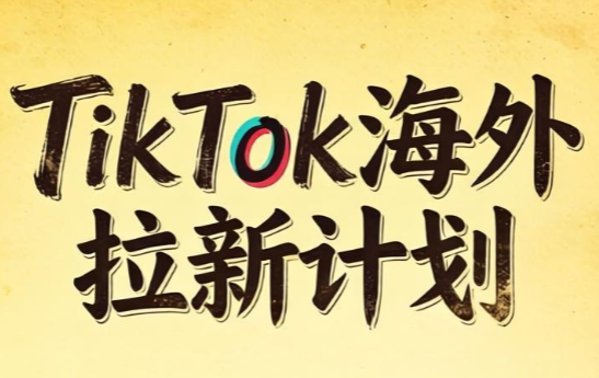 Tc联盟·TikTok海外拉新项目