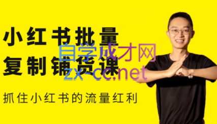 张宾·小红书批量复制铺货课（更新2023年3月），价值2980元