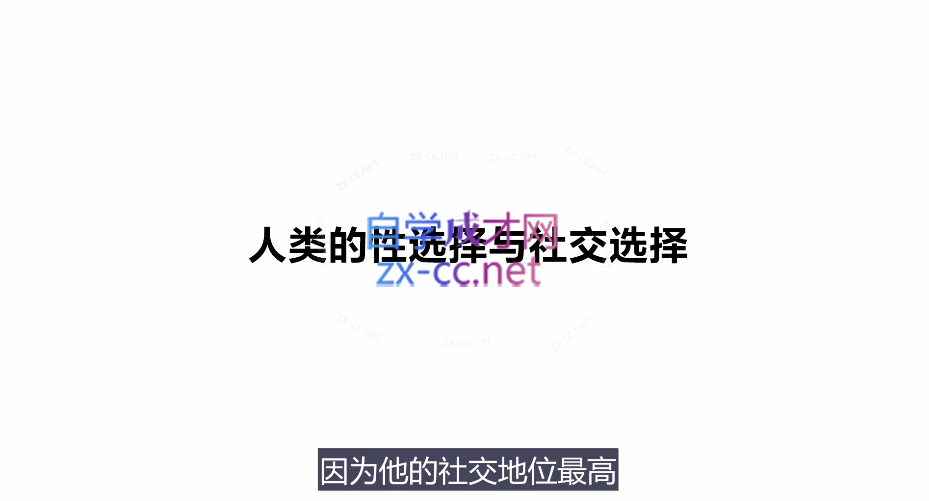 走向阿尔法《吸引力解码》