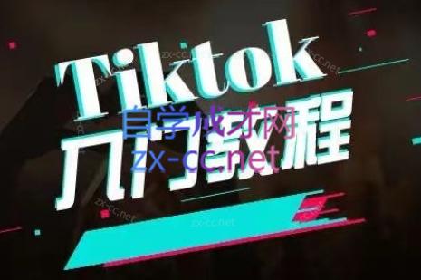 纵横跨境·2024TikTok变现实操课程