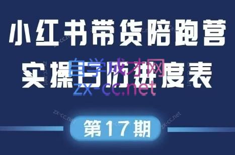 盗坤·抖音小红书视频号短视频带货与直播变现（11-17期）