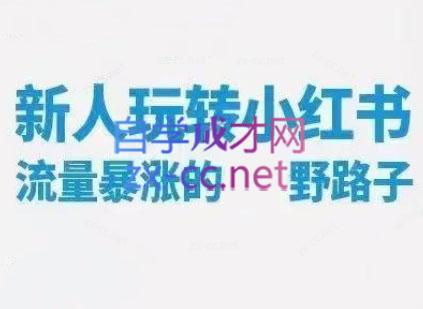 林智杰老师·小红书流量野路子
