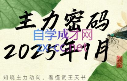 周公子·主力密码（更新7月）