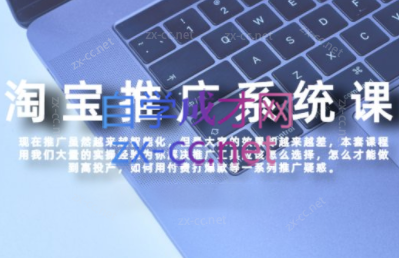 大海·淘宝高阶付费推广课