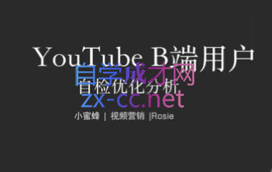 独立站+YouTube视频营销：流量与转化双提升实战课