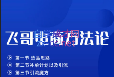 飞哥·淘宝无货源方法论