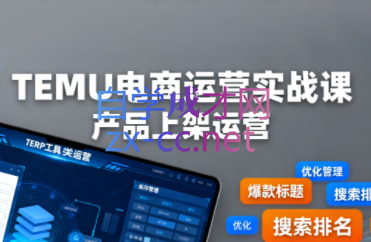 伍跃·跨境拼多多TEMU实操与选品